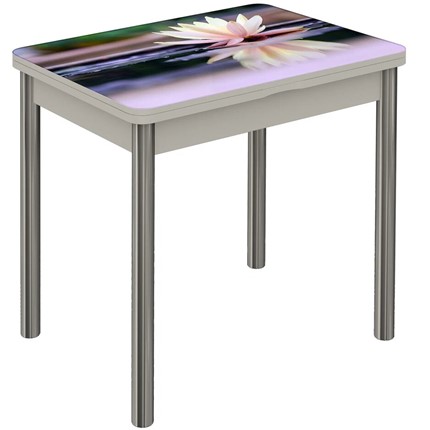 Кухонный стол раскладной Бари, ноги дерево №8 Фотопечать (Цветы №50) в Петрозаводске - изображение