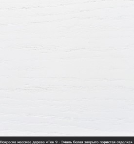 Раздвижной стол Фабрицио-1 исп. Эллипс, Тон 2 Покраска + патина (в местах фрезеровки) в Петрозаводске - предосмотр 16