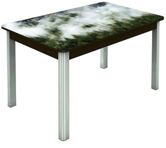 Кухонный стол раскладной Гамбург исп. 1, ноги метал. крашеные №23 (Exclusive h010/венге) в Петрозаводске - предосмотр