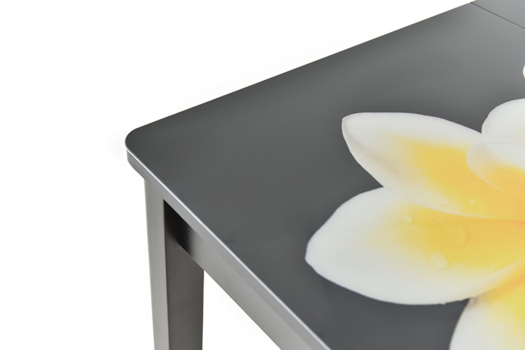 Кухонный стол раскладной Гамбург исп. 1, ноги метал. крашеные №23 (Exclusive h010/венге) в Петрозаводске - изображение 9