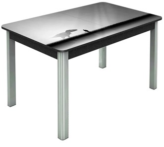 Кухонный стол раздвижной Гамбург исп. 1, ноги метал. крашеные №23 (Exclusive h192/черный) в Петрозаводске