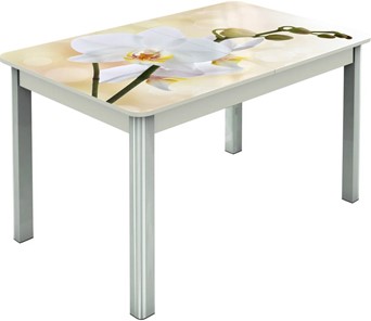 Кухонный стол раздвижной Гамбург исп.2 ноги метал. крашеные №23, Фотопечать (Цветы №5) в Петрозаводске
