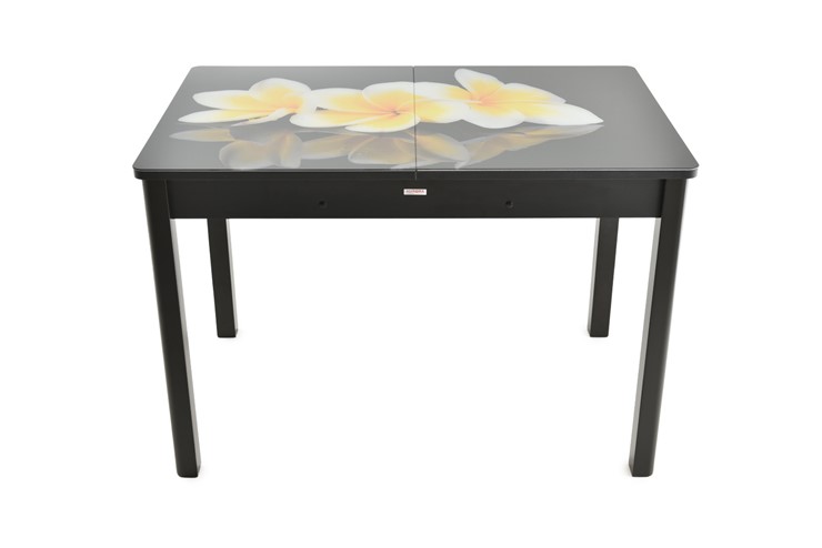 Кухонный раздвижной стол Гамбург Мини, ноги метал. крашеные №23 (Exclusive h138/черный) в Петрозаводске - изображение 7