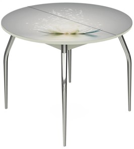 Кухонный стол раскладной Ривьера - Круг, ноги метал. крашеные №24, ФП (Цветы №29) в Петрозаводске