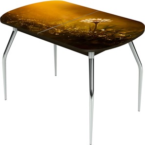 Раздвижной стол Ривьера исп.1 ноги метал. крашеные №24 Фотопечать (Цветы №43) в Петрозаводске