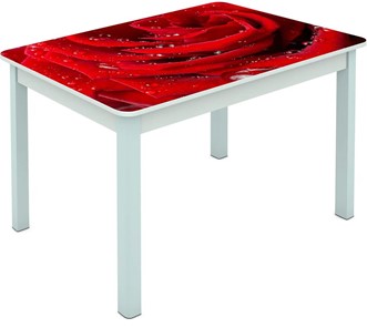 Обеденный стол Мюнхен исп. 2 ноги метал. крашеные №23 Фотопечать (Цветы №39) в Петрозаводске
