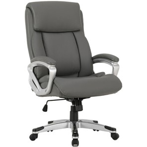 Офисное кресло Brabix Premium Level EX-527 (пружинный блок, рециклированная кожа, серое) 531937 в Петрозаводске - предосмотр