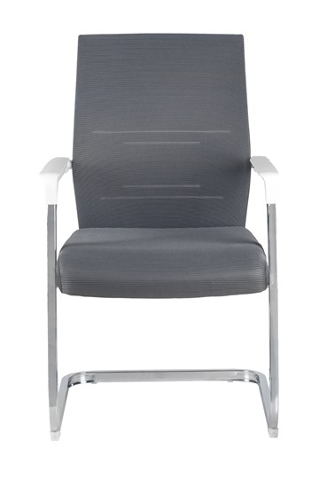 Кресло компьютерное Riva Chair D819 (Серая сетка) в Петрозаводске - изображение 1