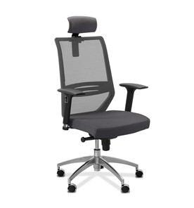 Офисное кресло для руководителя Aero lux с подголовником, сетка/ткань Сахара / серая/серая в Петрозаводске