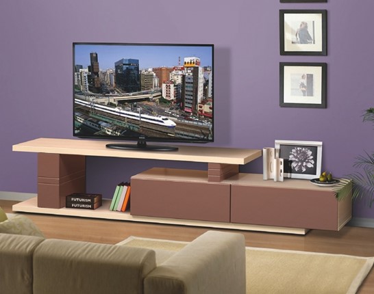 ТВ-тумба 4, цвет Капучино, Туя светлая в Петрозаводске - изображение