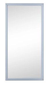 Настенное зеркало в спальню Ника (Серый) 119,5 см x 60 см в Петрозаводске