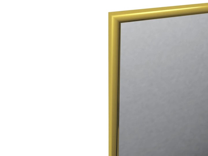 Зеркало навесное в гардероб Сельетта-5 глянец золото (1500х500х9) в Петрозаводске - изображение 1