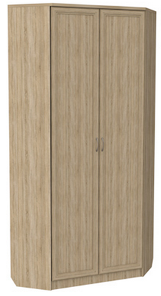 Распашной шкаф 401 угловой со штангой, цвет Дуб Сонома в Петрозаводске - изображение