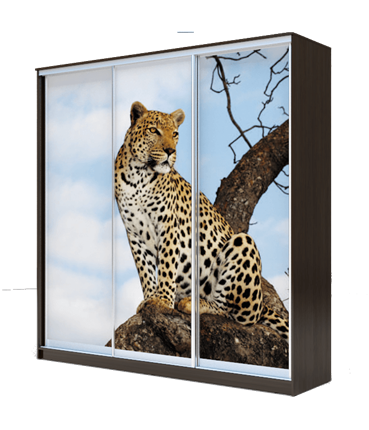 Шкаф 3-х створчатый 2300х1770х620, Леопард ХИТ 23-18-777-04 Венге Аруба в Петрозаводске - изображение