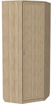 Распашной шкаф 400 угловой, цвет Дуб Сонома в Петрозаводске - изображение
