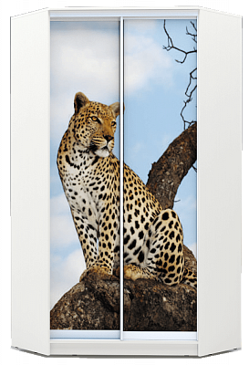 Угловой шкаф 2400х1103, ХИТ У-24-4-77-04, Леопард, белая шагрень в Петрозаводске - изображение