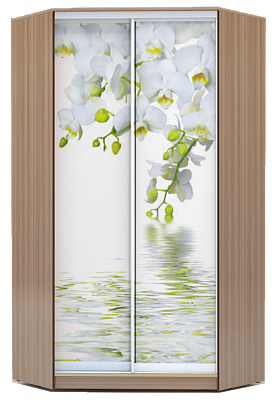 Шкаф угловой 2200х1103, ХИТ У-22-4-77-05, Белая орхидея, шимо темный в Петрозаводске - изображение