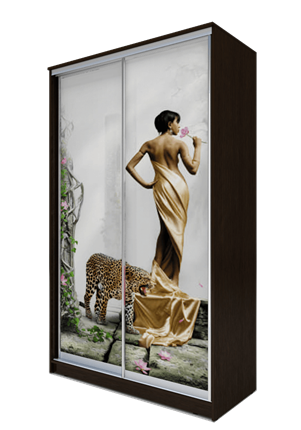 Шкаф 2-х дверный 2200х1362х420, Девушка с леопардом ХИТ 22-4-14-77-03 Венге Аруба в Петрозаводске - изображение