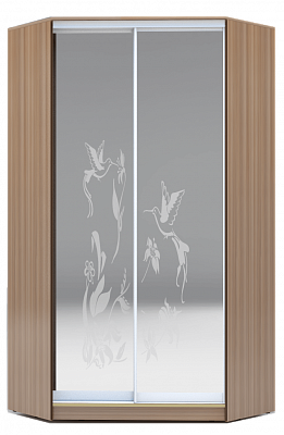 Шкаф угловой 2300х1103, ХИТ У-23-4-66-03, колибри, 2 зеркала, шимо темный в Петрозаводске - изображение