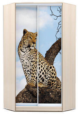 Шкаф 2200х1103, ХИТ У-22-4-77-04, Леопард, дуб млечный в Петрозаводске - изображение