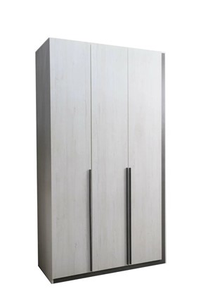 Шкаф трехдверный Винтер-3, винтерберг/темно-серый в Петрозаводске - изображение