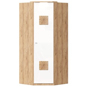 Шкаф угловой 45 с декоративной накладкой Фиджи, 659.248, белый в Петрозаводске - предосмотр