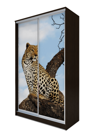 Шкаф 2-х створчатый 2300х1200х620, Леопард ХИТ 23-12-77-04 Венге Аруба в Петрозаводске - изображение