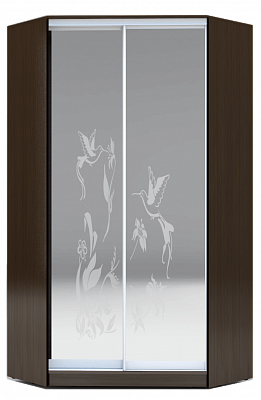 Шкаф угловой 2200х1103, ХИТ У-22-4-66-03, колибри, 2 зеркала, венге аруба в Петрозаводске - изображение