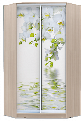 Угловой шкаф 2200х1103, ХИТ У-22-4-77-05, Белая орхидея, шимо светлый в Петрозаводске - изображение