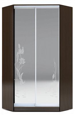 Шкаф 2400х1103, ХИТ У-24-4-66-01, цапля, 2 зеркалами, венге в Петрозаводске - изображение
