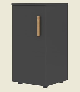 Низкий шкаф колонна с глухой дверью левой FORTA Черный Графит FLC 40.1 (L) (399х404х801) в Петрозаводске - предосмотр