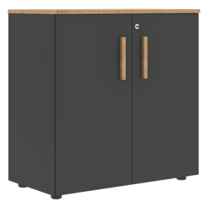Низкий шкаф с малыми дверцами широкий FORTA Графит-Дуб Гамильтон  FLC 80.1(Z) (798х404х801) в Петрозаводске - предосмотр