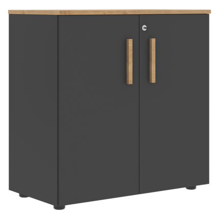 Низкий шкаф с малыми дверцами широкий FORTA Графит-Дуб Гамильтон  FLC 80.1(Z) (798х404х801) в Петрозаводске - изображение