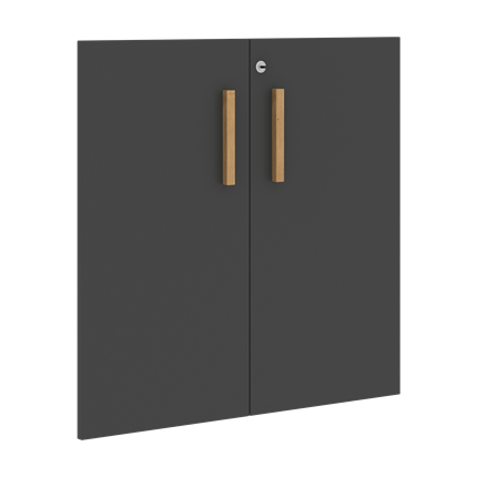 Двери для шкафов низкие с замком FORTA Черный ГрафитFLD 40-2(Z) (794х18х766) в Петрозаводске - изображение