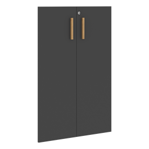 Двери для шкафов средние с замком FORTA Черный Графит FMD 40-2(Z) (794х18х1164) в Петрозаводске