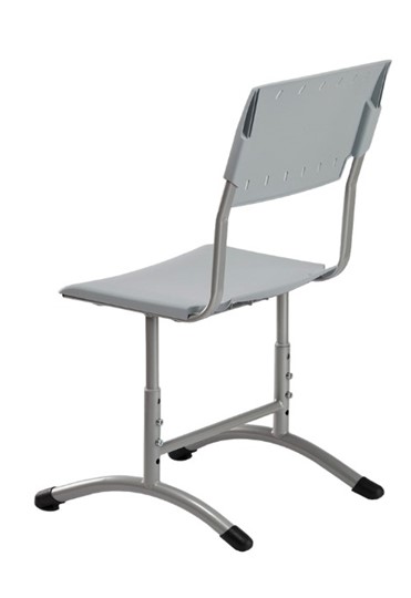 Детский стул регулируемый Отличник.3 5-7, Серый RAL 7040/Светло-серый в Петрозаводске - изображение 1