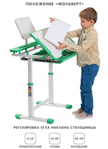 Растущий стул и растущая парта SET HOLTO-17А, зеленый в Петрозаводске - предосмотр 2